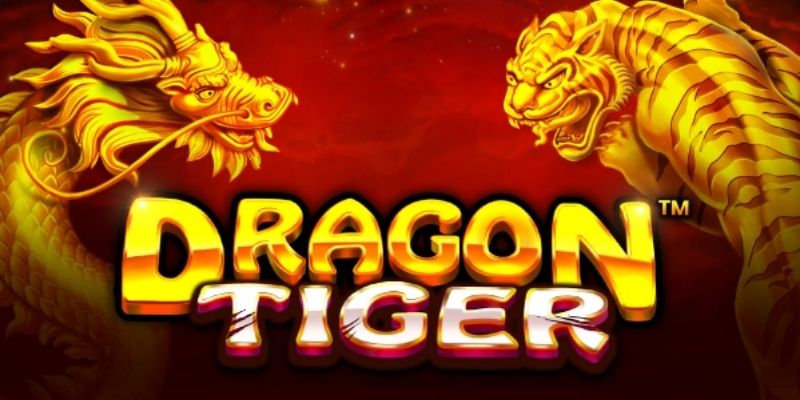 Các lưu ý khi hướng dẫn chơi rồng hổ tại Go88
