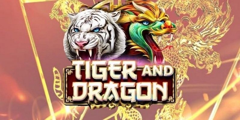 Chiến thuật cơ bản giúp nâng cao tỷ lệ thắng rồng hổ tại Go88