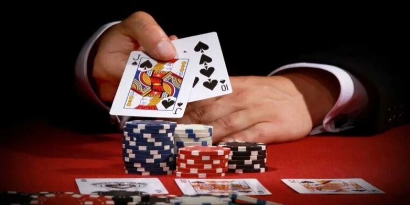 Giới thiệu tổng quan về bài catte 6 lá