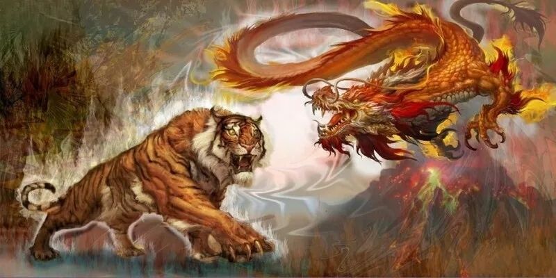 Tìm hiểu tổng quan về rồng hổ tại Go88